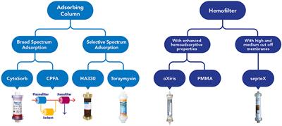 Role of Hemoperfusion With CytoSorb Associated With Continuous Kidney Replacement Therapy on Renal Outcome in Critically III Children With Septic Shock